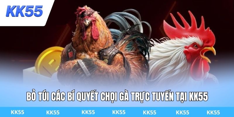 Bỏ túi các bí quyết chọi gà trực tuyến tại KK55