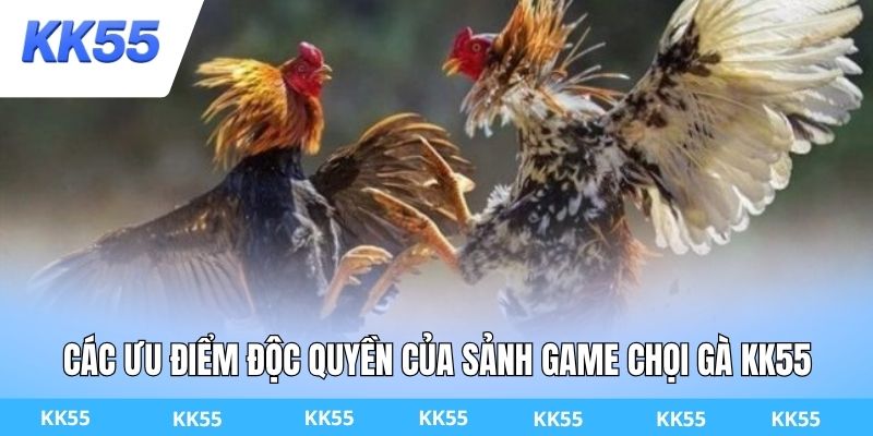Các ưu điểm độc quyền của sảnh game chọi gà KK55