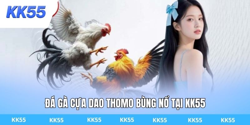 Đá gà cựa dao Thomo bùng nổ tại KK55