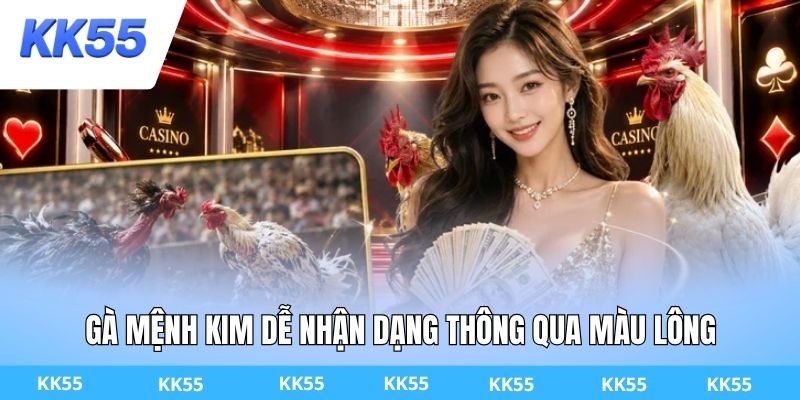 Gà mệnh Kim dễ nhận dạng thông qua màu lông