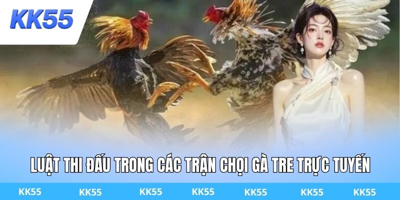 Luật thi đấu trong các trận chọi gà tre trực tuyến