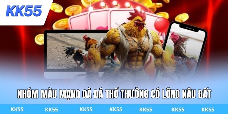 Nhóm màu mạng gà đá Thổ thường có lông nâu đất