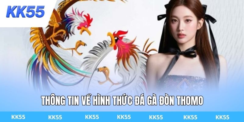 Thông tin về hình thức đá gà đòn thomo