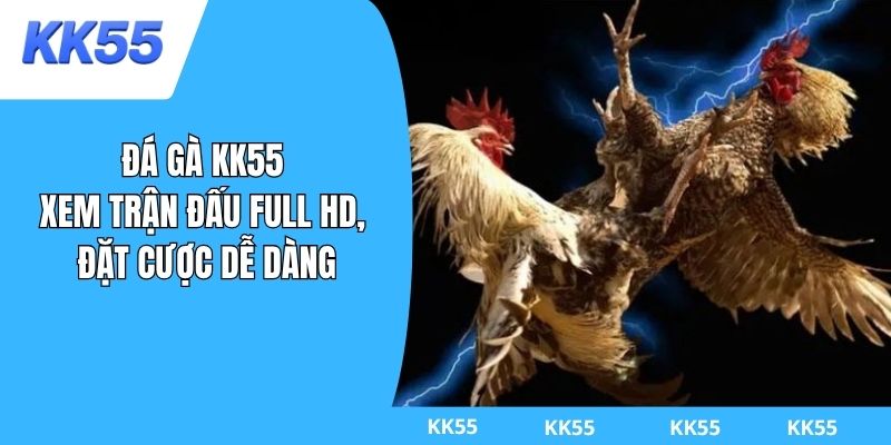 đá gà kk55