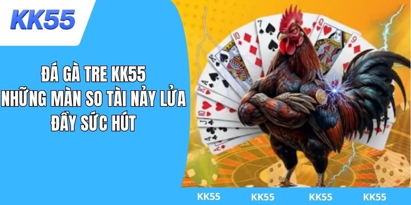 đá gà tre kk55