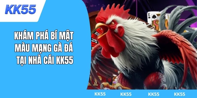 màu mạng gà